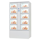 Egg Vending Machine Locker in The Fridge Cooling System Can Be Customized