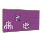 Apartment Buildings Automated Parcel Lockers Powder Coating Finish