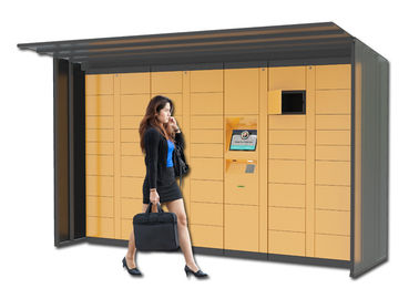 Automatic Barcode Luggage Rental Lockers , Indoor Electronic Lockers For Park Supermarket